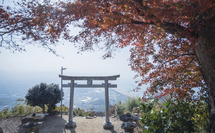 街を見渡せる、静かな神社の景色