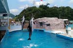 下田海中水族館入園券プレゼント