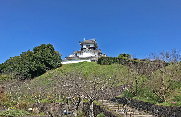大学の同じサークルメンバーで楽しく過ごすことができました!